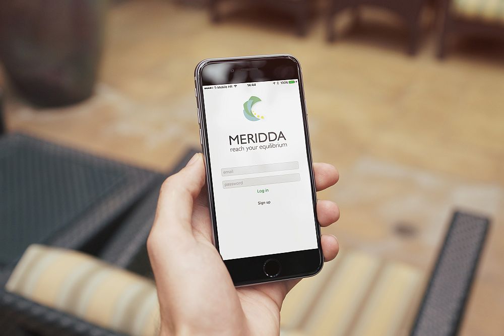 Meridda login web