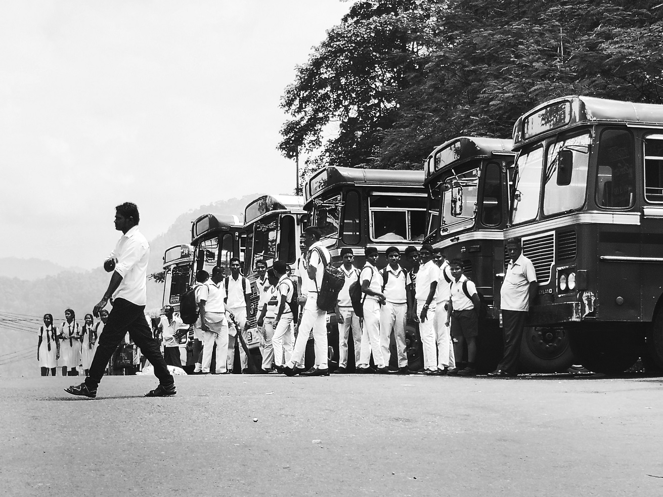 ivot Costin mocanu Solo ROMANIA