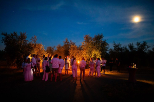 Poreč: "Noć pod Zvijezdama" 