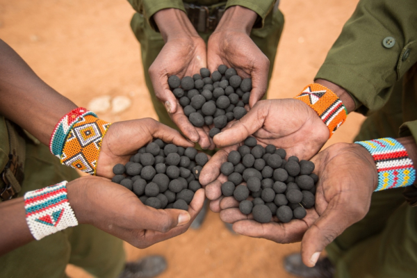 BOLT ĆE POSADITI STABLO ZA SVAKO KORI&Scaron;TENJE APLIKACIJE 22. TRAVNJA
