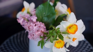 Hrvatski Serengeti svjetskom trži&scaron;tu ponudit će jedinstvenu platformu koja ubrzava razvoj digitalnih aplikacija do 80%